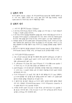 물리학 - 길이 및 곡률 반경-1