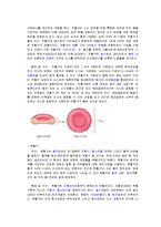 일반생물학 - ABO식 혈액형 판별-3