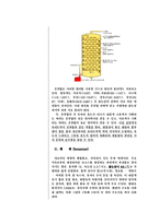 유기화학실험 - 분류관을 이용한 분별증류-2
