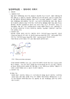 일반화학실험 - 광촉매에 대해서-1