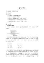 인덕터의 특성 결과-1