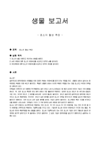 [생물학 보고서] 효소의 활성 측정-1