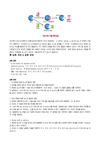 [생물학 보고서] 효소의 활성 측정-2