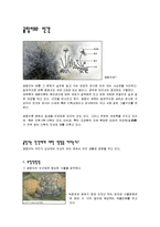 [미생물학] 곰팡이와 인간에 대해서-1