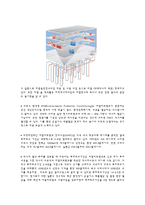 [에너지와 환경] 지열 에너지에 관해서-2