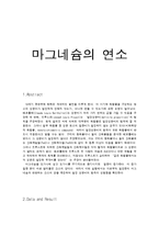 일반화학실험 - 마그네슘의 연소-1