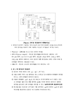 화학실험 - 제 1, 2 족에 속하는 양이온 정성분석-2
