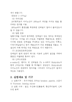 생물 결과 - 단백질 검출-3