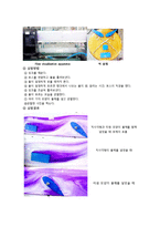 [이동현상실험] 유동가시화 실험[Flow Visualization Apparatus]-2