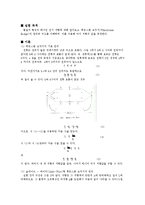 물리실험 - 휘트스톤 브릿지를 이용한 저항 측정-1
