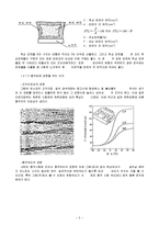 재료역학실험 - 충격실험-5