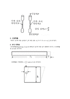 실험보고서 - 인장시험-3