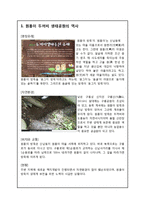 에너지와 환경 - 원흥이 방죽이에 대하여-2