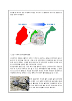 에너지와 환경 - 원흥이 방죽이에 대하여-9