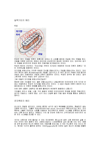 일반물리학 - 전자기파 조사-4