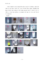 분석화학 실험 - 음이온, 양이온 정성분석-16