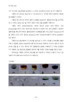 분석화학 실험 - 음이온, 양이온 정성분석-20