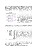 [일반 물리실험] 관의 공명 측정 장치-5