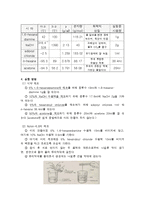 [화학실험] 나일론의 제조-4