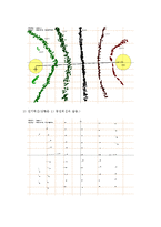 [물리학실험] 등전위선 실험-3