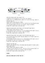 일반물리학 실험 - 선운동량 보존법칙-2