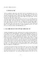 원자력 기술의 문제점과 대안-8