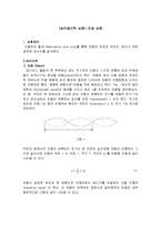 [일반물리학 실험] 파동 실험-1