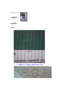 [물리화학실험- 예비와 결과] Absorption spectrum of a conjugated dye-3