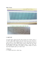 [물리화학실험- 예비와 결과] Absorption spectrum of a conjugated dye-4