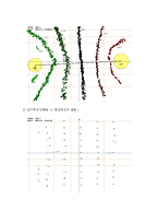 [물리학]등전위선-3