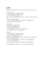 물리실험보고서 - 탄성과 비탄성충돌-7