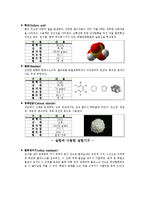 [실험보고서] 니트로화 - Benzene의 Nitration에 의한 Nitrobenzene합성-3