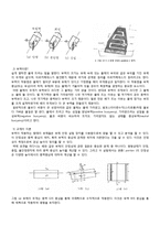 유체역학 실험 - 부체의 안정성-2