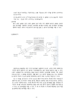 화학실험 - 분자량 측정 실험-2