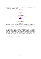 환경미생물실험 - 그람염색-4