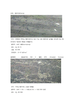 실험보고서 - 금속의 현미경 조직 실험-6