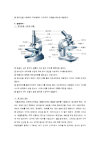 예비레포트 - 동물세포와 식물세포 비교 관찰-2