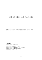 결과 보고서 - 전장, 전기력선, 전기 가우스 법칙-1