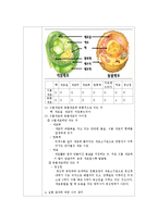 생물학실험 - 진핵생물 현미경 관찰[동물세포, 식물세포]-6