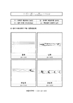 실험보고서 - 레이놀즈수 실험-2