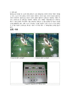 [실험보고서] 저항 [선박의 저항]-3