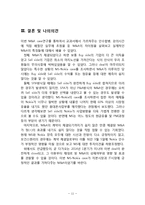 노키아 ms 레포트-11