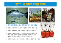 글로벌 무역에 대한 최근 이슈-13