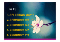 지역경제통합의 유형과 현황-2
