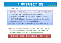 지역경제통합의 유형과 현황-11
