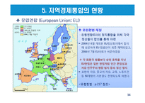 지역경제통합의 유형과 현황-14