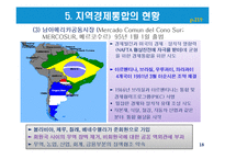 지역경제통합의 유형과 현황-18