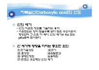 유기실험 - Ester 계 향료의 합성(Fischer Esterification)Pentyl acetate의 합성-4