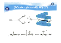 유기실험 - Ester 계 향료의 합성(Fischer Esterification)Pentyl acetate의 합성-10