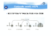 유기실험 - Ester 계 향료의 합성(Fischer Esterification)Pentyl acetate의 합성-15